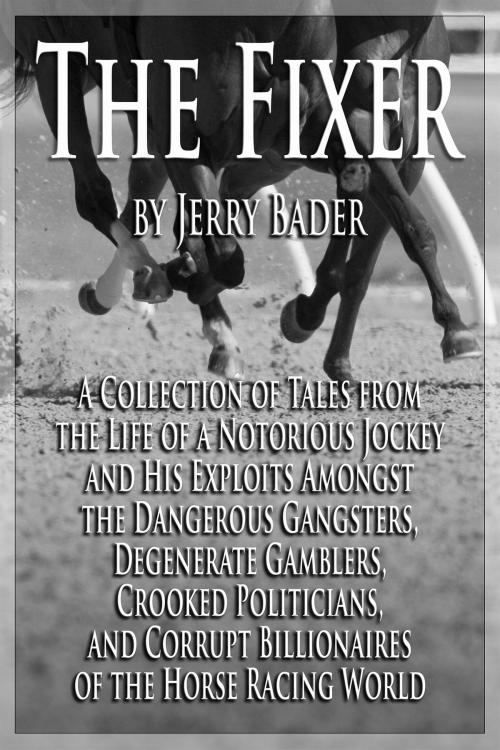 Cover of the book The Fixer by Jerry Bader, Rebel Seed Publishing