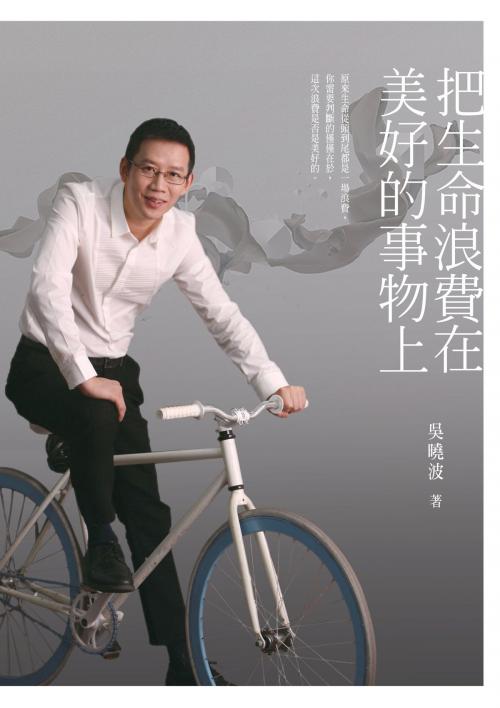 Cover of the book 把生命浪費在美好的事物上 by 吳曉波, 華品文創