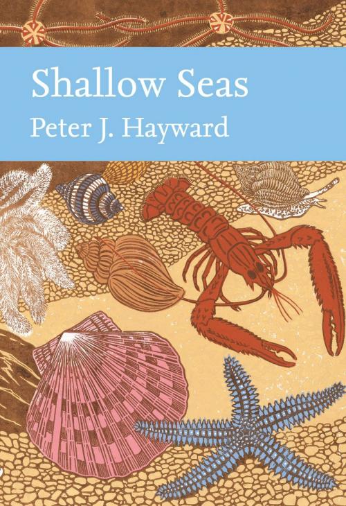 Cover of the book Shallow Seas (Collins New Naturalist Library, Book 131) by Peter Hayward, HarperCollins Publishers