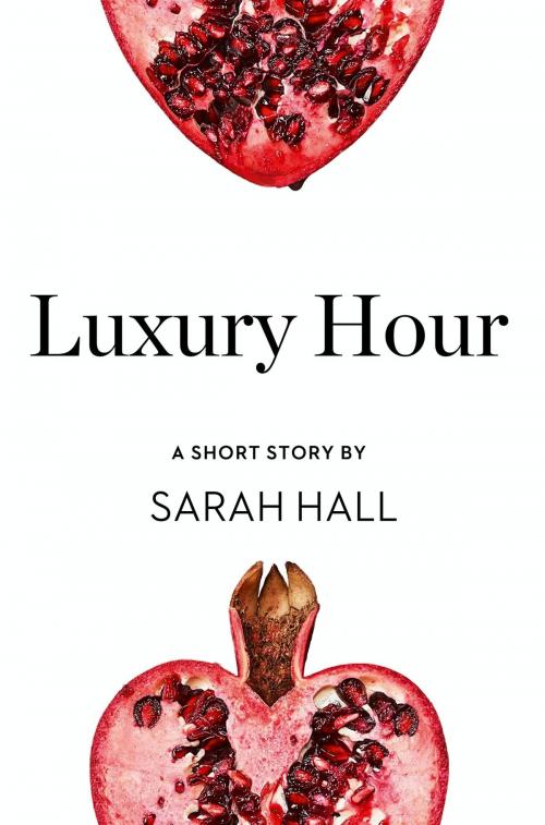 Cover of the book Luxury Hour: A Short Story from the collection, Reader, I Married Him by Sarah Hall, HarperCollins Publishers