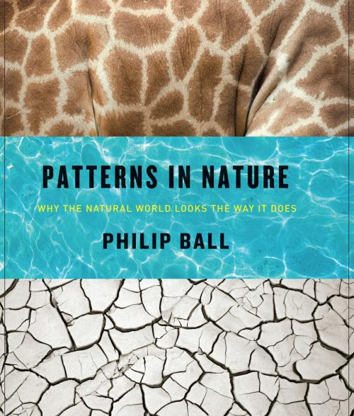 Cover of the book Patterns in Nature by Philip Ball, University of Chicago Press