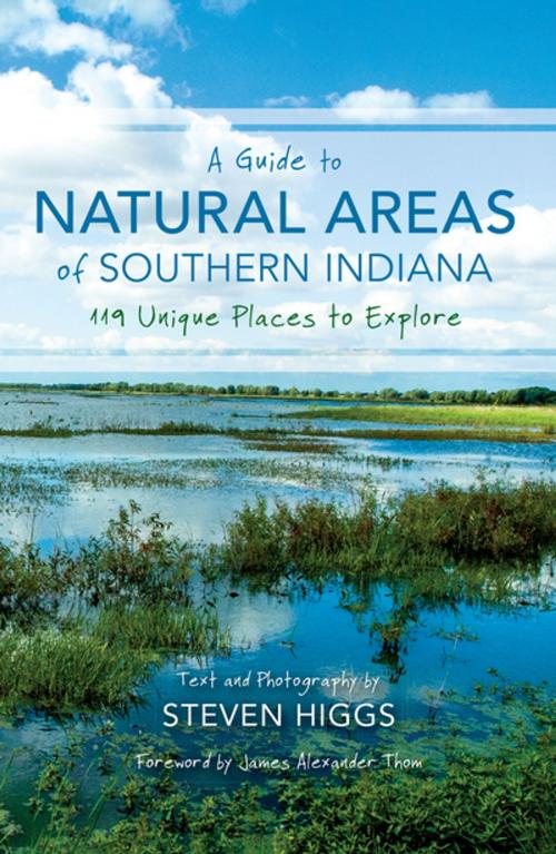 Cover of the book A Guide to Natural Areas of Southern Indiana by Steven Higgs, Indiana University Press