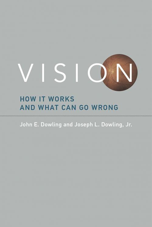 Cover of the book Vision by John E. Dowling, Joseph L. Dowling Jr., The MIT Press