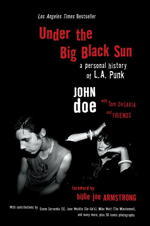 Cover of the book Under the Big Black Sun by John Doe, Tom DeSavia, Hachette Books