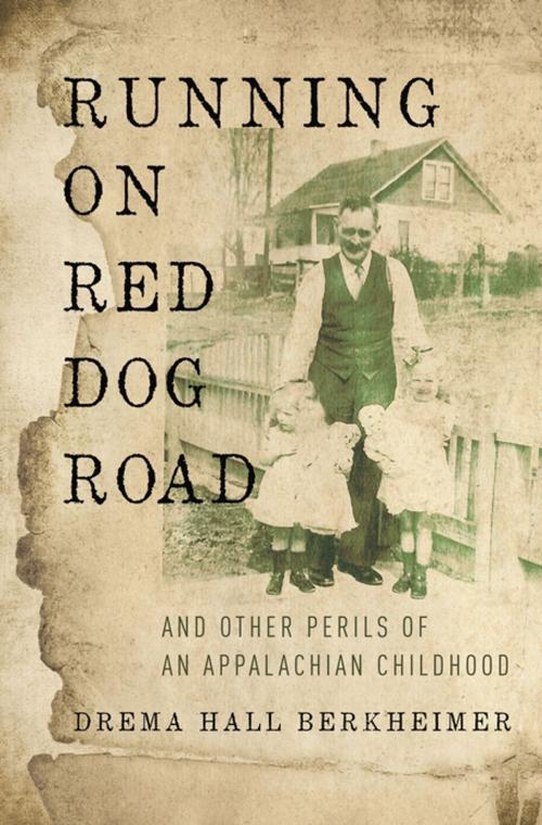 Cover of the book Running on Red Dog Road by Drema Hall Berkheimer, Zondervan