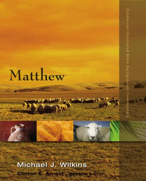 Cover of the book Matthew by Michael J. Wilkins, Clinton E. Arnold, Zondervan Academic