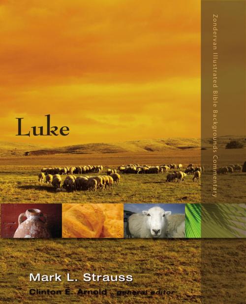 Cover of the book Luke by Mark L. Strauss, Clinton E. Arnold, Zondervan Academic