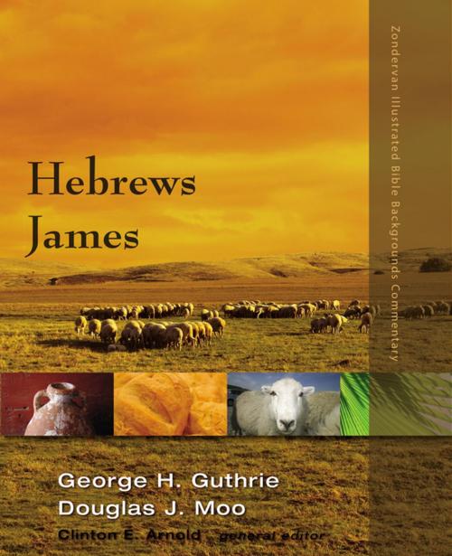 Cover of the book Hebrews, James by George H. Guthrie, Douglas  J. Moo, Clinton E. Arnold, Zondervan Academic