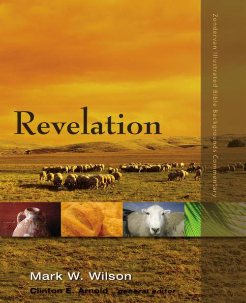 Cover of the book Revelation by Mark W. Wilson, Clinton E. Arnold, Zondervan Academic