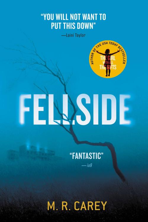 Cover of the book Fellside by M. R. Carey, Orbit