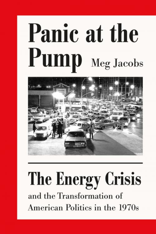 Cover of the book Panic at the Pump by Meg Jacobs, Farrar, Straus and Giroux