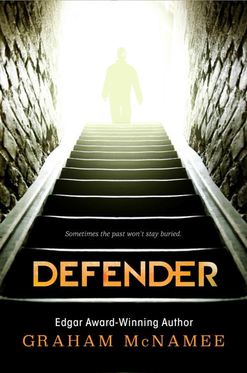 Cover of the book Defender by Graham McNamee, Random House Children's Books