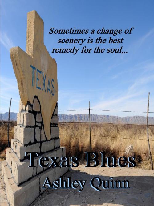 Cover of the book Texas Blues by Ashley Quinn, Ashley Quinn