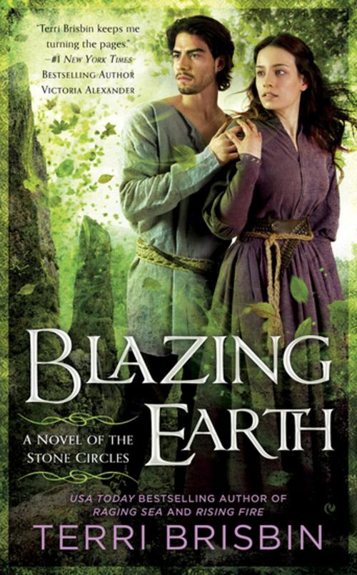 Cover of the book Blazing Earth by Terri Brisbin, Penguin Publishing Group