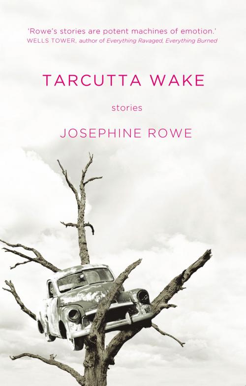 Cover of the book Tarcutta Wake by Josephine Rowe, University of Queensland Press