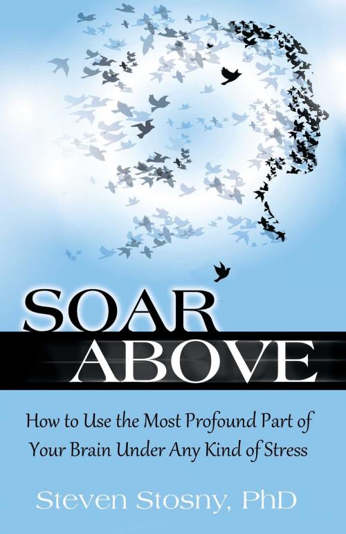 Cover of the book Soar Above by Dr. Steven Stosny, PhD, Health Communications Inc