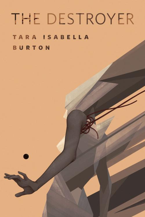 Cover of the book The Destroyer by Tara Isabella Burton, Tom Doherty Associates