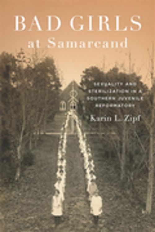 Cover of the book Bad Girls at Samarcand by Karin Lorene Zipf, LSU Press
