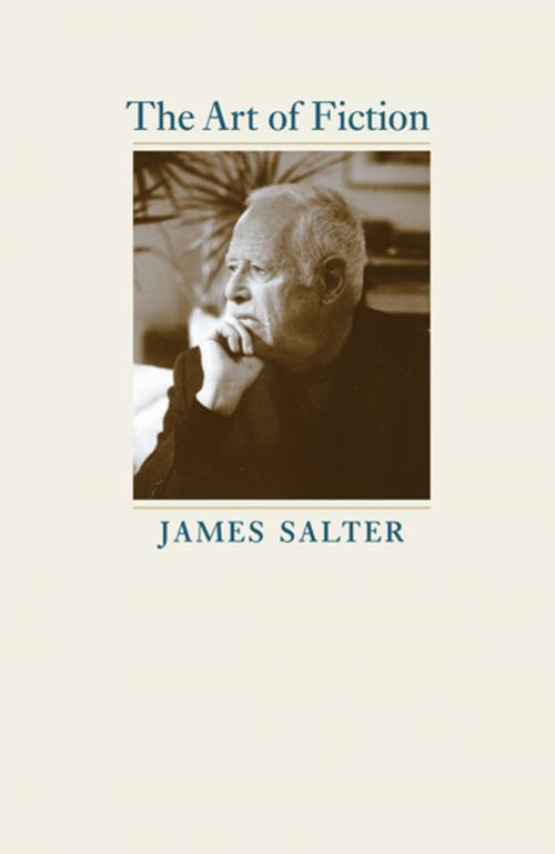 Cover of the book The Art of Fiction by James Salter, University of Virginia Press