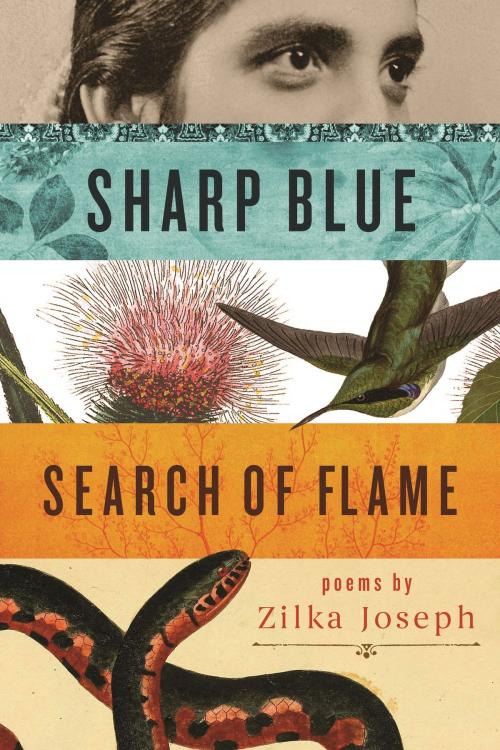 Cover of the book Sharp Blue Search of Flame by Zilka Joseph, Wayne State University Press
