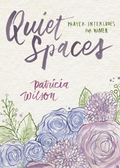 Cover of the book Quiet Spaces by Patricia Wilson, Upper Room