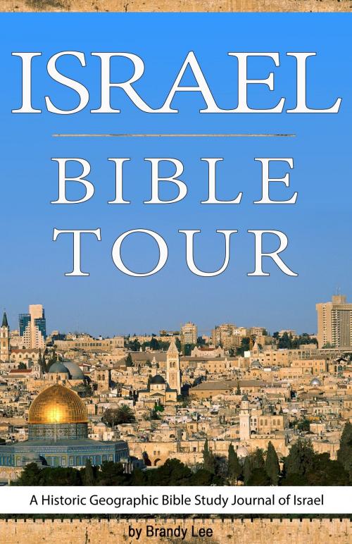 Cover of the book Israel Bible Tour, A Historic Geographic Bible Study Journal of Israel by Brandy Lee, Brandy Lee