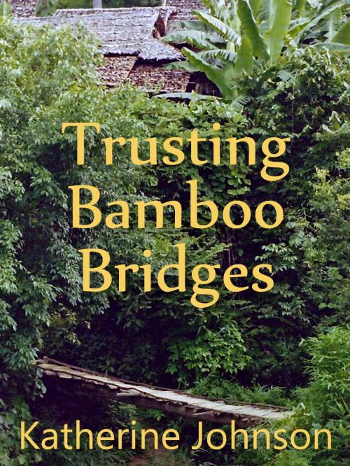 Cover of the book Trusting Bamboo Bridges by Katherine Johnson, Watermark publishing