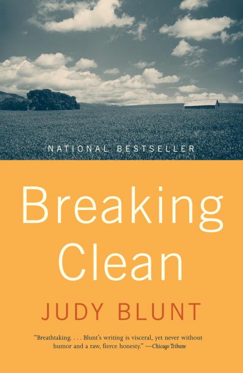 Cover of the book Breaking Clean by Judy J. Blunt, Nancy Smith, Knopf Doubleday Publishing Group