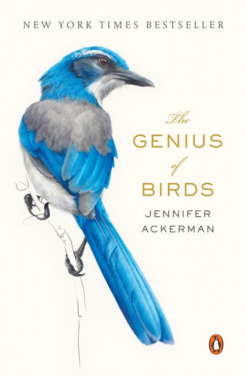 Cover of the book The Genius of Birds by Jennifer Ackerman, Penguin Publishing Group