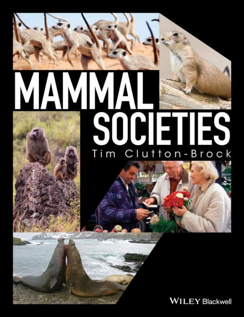 Cover of the book Mammal Societies by Tim Clutton-Brock, Wiley