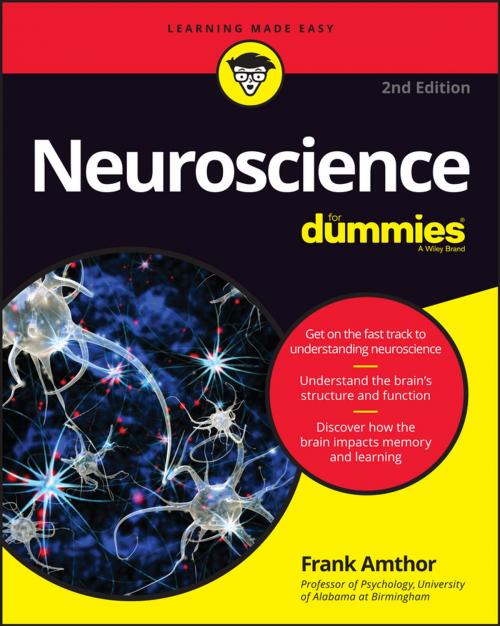 Cover of the book Neuroscience For Dummies by Frank Amthor, Wiley