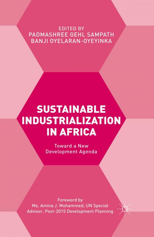 Cover of the book Sustainable Industrialization in Africa by , Palgrave Macmillan UK