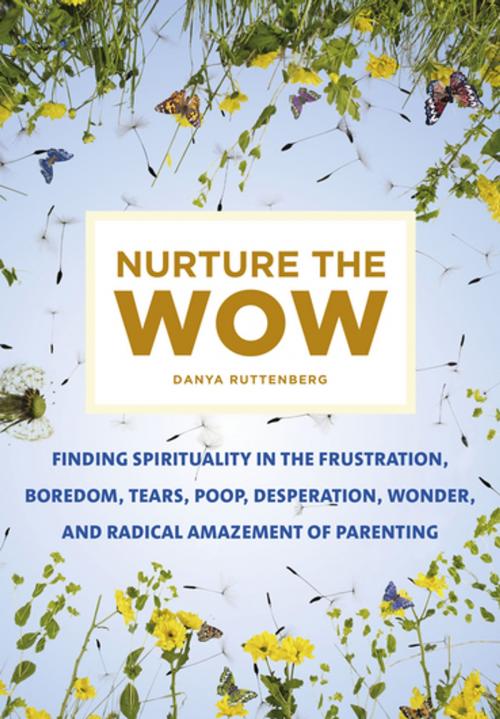 Cover of the book Nurture the Wow by Danya Ruttenberg, Flatiron Books