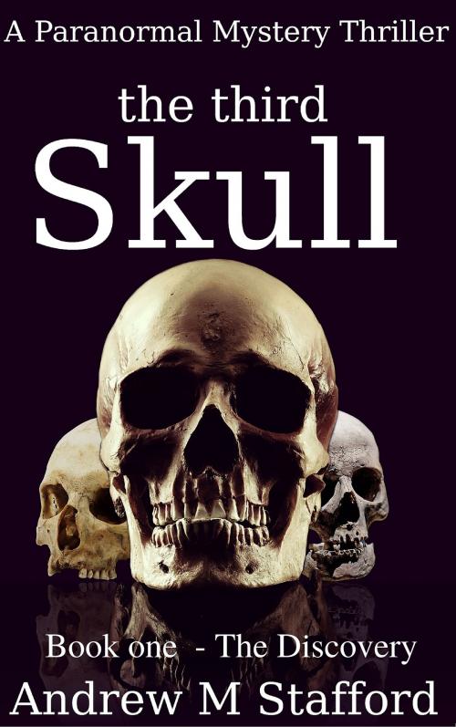 Cover of the book The Third Skull: Book One - The Discovery by Andrew M Stafford, Andrew M Stafford