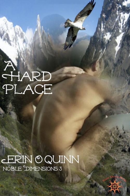 Cover of the book A Hard Place (Noble Dimensions 3 Novella) by Erin O'Quinn, Erin O'Quinn