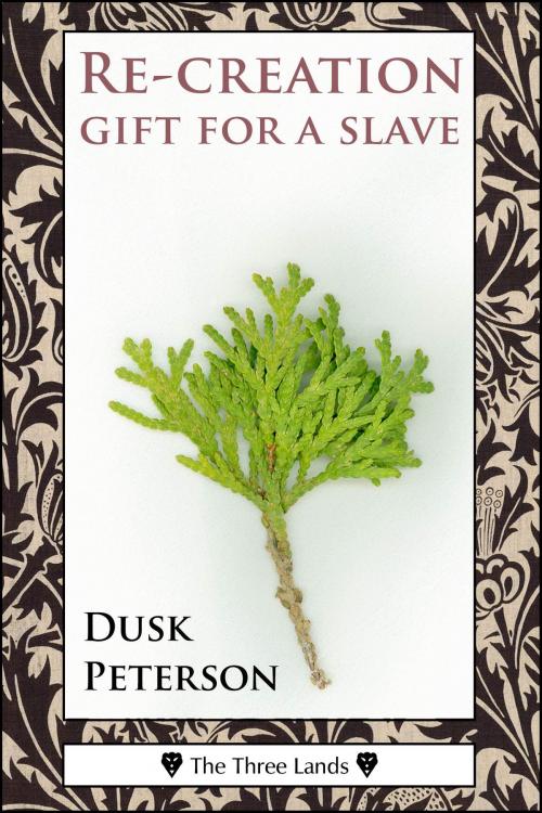 Cover of the book Re-creation: gift for a slave (The Three Lands) by Dusk Peterson, Dusk Peterson
