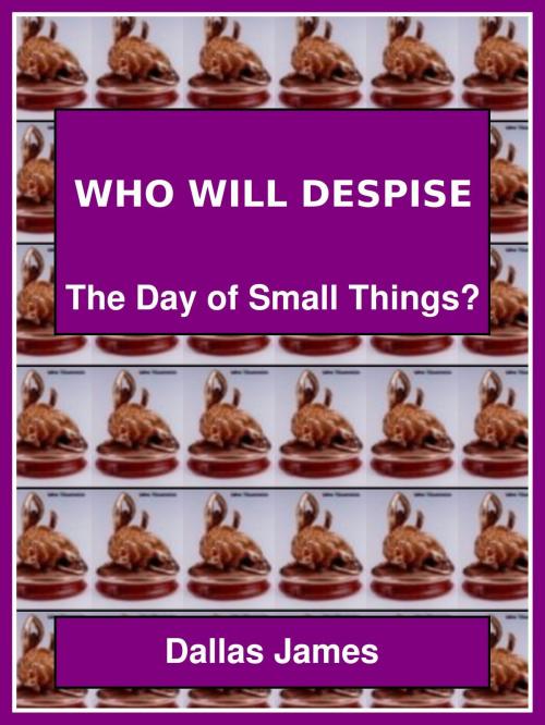 Cover of the book Who Will Despise: The Day of Small Things? by Dallas James, Dallas James