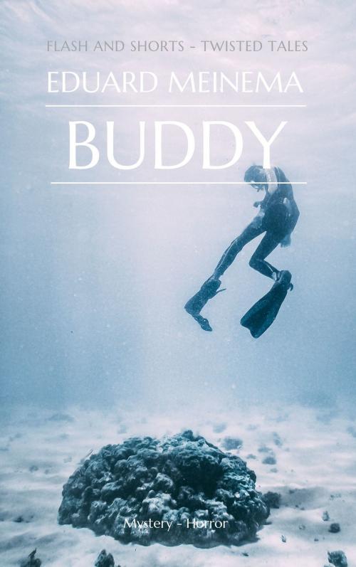 Cover of the book Buddy by Eduard Meinema, Eduard Meinema