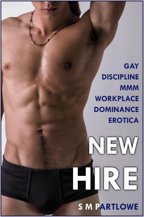 Cover of the book New Hire (Gay Discipline MMM Workplace Dominance Erotica) by S M Partlowe, S M Partlowe