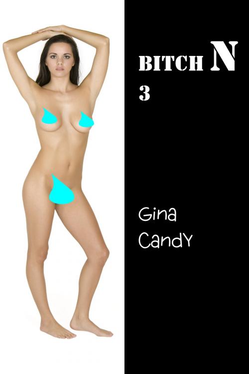 Cover of the book Bitch N 3 by Gina Candy, Gina Candy