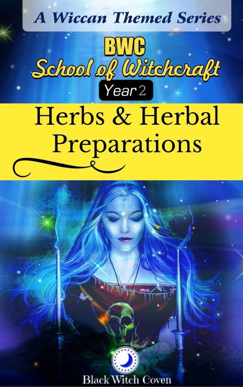 Cover of the book Herbs and Herbal Preparations: Year 2. A Wiccan Themed Series. by BWS, BWS