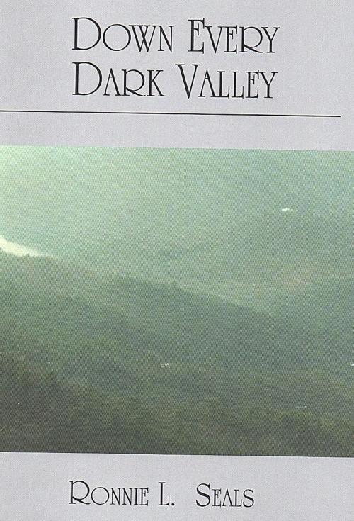 Cover of the book Down Every Dark Valley by Ronnie L. Seals, Ronnie L. Seals