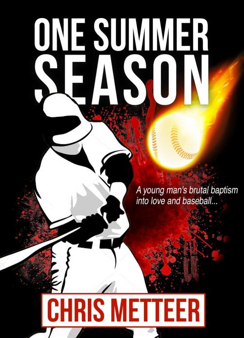 Cover of the book One Summer Season: A Young Man's Brutal Baptism Into Love And Baseball by Chris Metteer, Chris Metteer