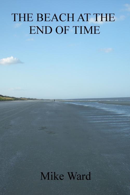 Cover of the book The Beach at the End of Time by Mike Ward, Mike Ward