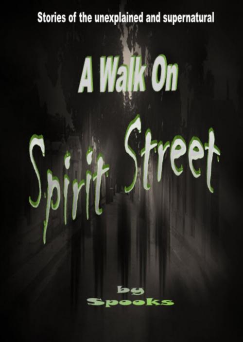 Cover of the book A Walk on Spirit Street by Spooks, Spooks