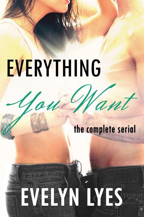 Cover of the book Everything You Want: The Complete Serial by Evelyn Lyes, Evelyn Lyes