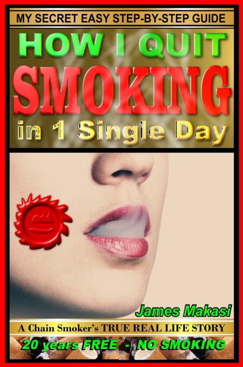 Cover of the book How I Quit Smoking In 1 Single Day: A Chain-Smoker's True Real Life Story by James Makasi, James Shava