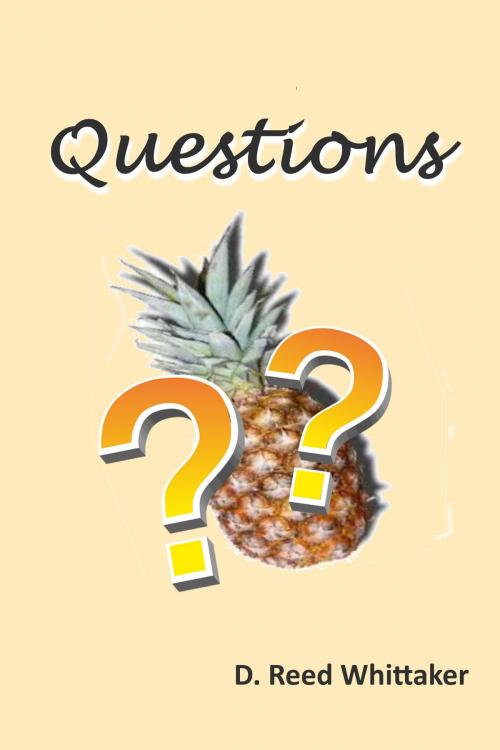 Cover of the book 36 Questions by D. Reed Whittaker, D. Reed Whittaker
