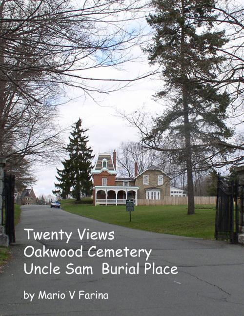 Cover of the book Twenty Views Oakwood Cemetery Uncle Sam Burial by Mario V. Farina, Mario V. Farina