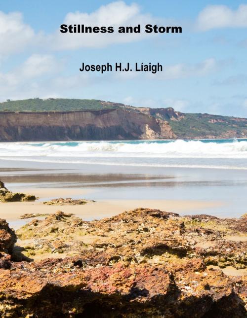 Cover of the book Stillness and Storm by Joseph H.J. Liaigh, Joseph H.J. Liaigh
